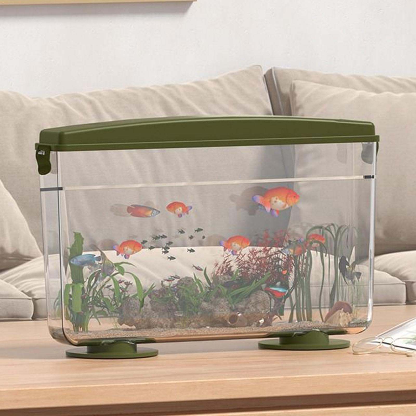 金魚セットアップ